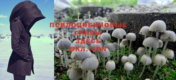 гидра Мегион