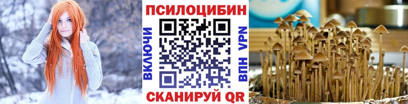 OMG ссылки  Сасово  Псилоцибиновые грибы MAGIC MUSHROOMS 